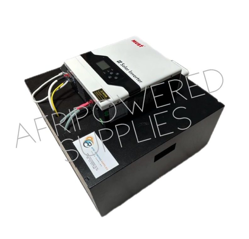 Portable Backup Systems